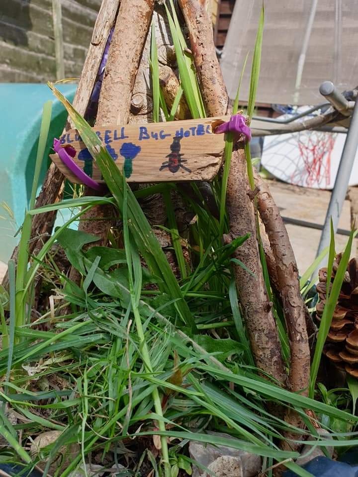 Bluebell Bug Hotel